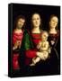 The Madonna and Child with St. John the Baptist and St. Catherine of Alexandria-Perugino-Framed Stretched Canvas