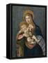 The Madonna and child with the crown of thorns and three nails-Sandro Botticelli-Framed Stretched Canvas