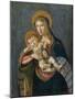 The Madonna and child with the crown of thorns and three nails-Sandro Botticelli-Mounted Giclee Print