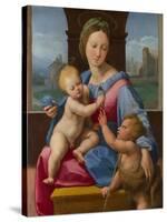 The Madonna and Child with the Infant Baptist (The Garvagh Madonn), Ca 1509-1510-Raphael-Stretched Canvas