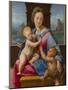 The Madonna and Child with the Infant Baptist (The Garvagh Madonn), Ca 1509-1510-Raphael-Mounted Giclee Print
