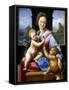 The Madonna and Child with the Infant Baptist' ('The Garvagh Madonna), C1509-1510-Raphael-Framed Stretched Canvas