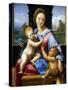 The Madonna and Child with the Infant Baptist' ('The Garvagh Madonna), C1509-1510-Raphael-Stretched Canvas