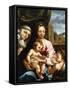 The Madonna and Child with the Infant Saint John the Baptist and Saint Catherine of Siena, C.1597-1-Rutilio Manetti-Framed Stretched Canvas