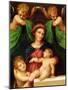The Madonna and Child with the Infant Saint John the Baptist and Two Angels, C.1512 (Oil on Panel)-Giovanni Battista Rosso Fiorentino-Mounted Giclee Print