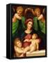 The Madonna and Child with the Infant Saint John the Baptist and Two Angels, C.1512 (Oil on Panel)-Giovanni Battista Rosso Fiorentino-Framed Stretched Canvas