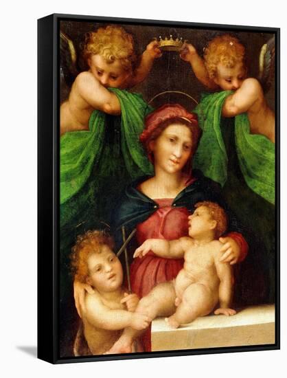 The Madonna and Child with the Infant Saint John the Baptist and Two Angels, C.1512 (Oil on Panel)-Giovanni Battista Rosso Fiorentino-Framed Stretched Canvas