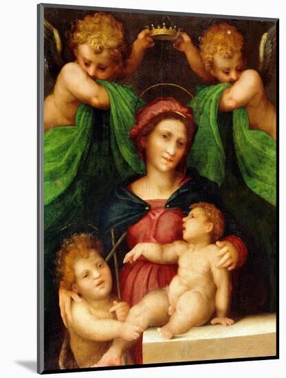 The Madonna and Child with the Infant Saint John the Baptist and Two Angels, C.1512 (Oil on Panel)-Giovanni Battista Rosso Fiorentino-Mounted Giclee Print