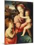 The Madonna and Child with the Infant Saint John the Baptist-Michele Tosini-Mounted Giclee Print