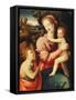 The Madonna and Child with the Infant Saint John the Baptist-Michele Tosini-Framed Stretched Canvas