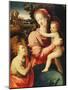 The Madonna and Child with the Infant Saint John the Baptist-Michele Tosini-Mounted Giclee Print