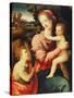 The Madonna and Child with the Infant Saint John the Baptist-Michele Tosini-Stretched Canvas