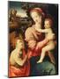 The Madonna and Child with the Infant Saint John the Baptist-Michele Tosini-Mounted Giclee Print