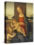 The Madonna and Child with the Infant Saint John the Baptist-Sandro Botticelli-Stretched Canvas