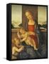 The Madonna and Child with the Infant Saint John the Baptist-Sandro Botticelli-Framed Stretched Canvas