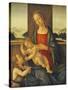 The Madonna and Child with the Infant Saint John the Baptist-Sandro Botticelli-Stretched Canvas