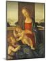 The Madonna and Child with the Infant Saint John the Baptist-Sandro Botticelli-Mounted Giclee Print