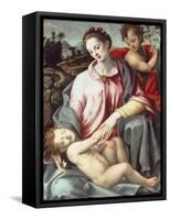 The Madonna and Child with the Infant Saint John the Baptist-Ridolfo Ghirlandaio-Framed Stretched Canvas