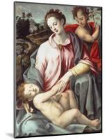 The Madonna and Child with the Infant Saint John the Baptist-Ridolfo Ghirlandaio-Mounted Giclee Print