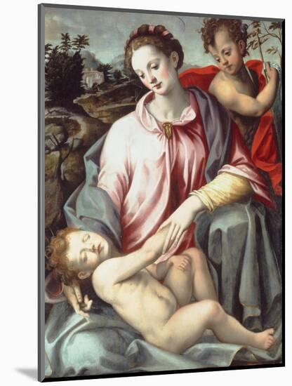 The Madonna and Child with the Infant Saint John the Baptist-Ridolfo Ghirlandaio-Mounted Giclee Print
