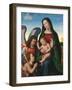 The Madonna and Child with the Young Saint John the Baptist and an Angel (Oil and Gold on Panel)-Albertinelli & Buigardini-Framed Giclee Print