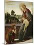 The Madonna and Child with the Young Saint John the Baptist in a Landscape-Sandro Botticelli-Mounted Giclee Print