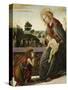 The Madonna and Child with the Young Saint John the Baptist in a Landscape-Sandro Botticelli-Stretched Canvas