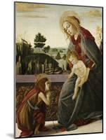 The Madonna and Child with the Young St. John the Baptish in a Landscape-Sandro Botticelli-Mounted Giclee Print