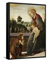The Madonna and Child with the Young St. John the Baptish in a Landscape-Sandro Botticelli-Framed Stretched Canvas