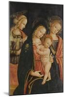 The Madonna and Child with Two Female Saints, C.1500-null-Mounted Giclee Print