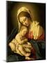 The Madonna and Child-Giovanni Battista Salvi da Sassoferrato-Mounted Premium Giclee Print