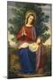 The Madonna and Child-Julius Schnorr von Carolsfeld-Mounted Giclee Print