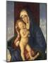 The Madonna and Child-Giovanni Bellini-Mounted Giclee Print