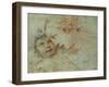 The Madonna and Child-Carlo Francesco Nuvolone-Framed Giclee Print
