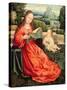 The Madonna and Child-Flemish-Stretched Canvas
