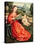 The Madonna and Child-Flemish-Stretched Canvas