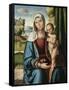 The Madonna and Child-Benvenuto Tisi Da Garofalo-Framed Stretched Canvas