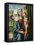 The Madonna and Child-Benvenuto Tisi Da Garofalo-Framed Stretched Canvas