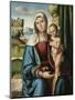 The Madonna and Child-Benvenuto Tisi Da Garofalo-Mounted Giclee Print