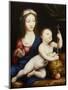 The Madonna and Child-Cornelis van Cleve-Mounted Giclee Print