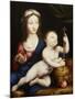 The Madonna and Child-Cornelis van Cleve-Mounted Giclee Print