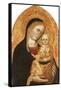 The Madonna and Child-Giovanni Di Nicola Da Pisa-Framed Stretched Canvas