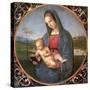 The Madonna Conestabile, 1502-1503-Raphael-Stretched Canvas