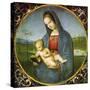 The Madonna Conestabile, 1502-1503-Raphael-Stretched Canvas