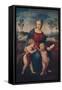 'The Madonna Del Cardellino', 1505-1506, (1911)-Raphael-Framed Stretched Canvas