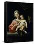 The Madonna Della Rosa, before 1627-Domenichino-Framed Stretched Canvas