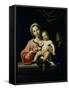 The Madonna Della Rosa, before 1627-Domenichino-Framed Stretched Canvas