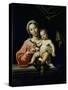 The Madonna Della Rosa, before 1627-Domenichino-Stretched Canvas