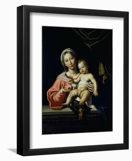 The Madonna Della Rosa, before 1627-Domenichino-Framed Giclee Print