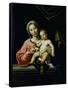 The Madonna Della Rosa, before 1627-Domenichino-Framed Stretched Canvas